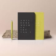 Luxury House Interior